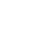 Icon of gavel representing the legal aid for misdemeanors