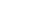 Icon of Gavel within a shield representing juvenile legal protection services